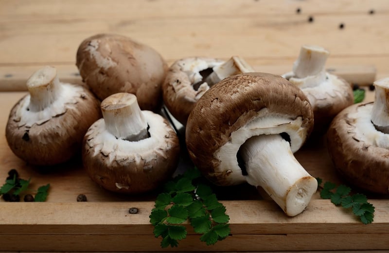 Ingredient Guides